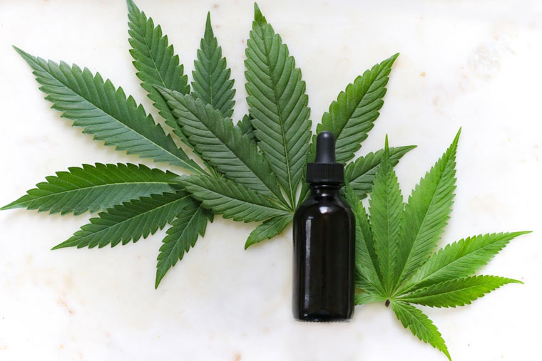 Cannabis leaves and black dropper bottle with white background